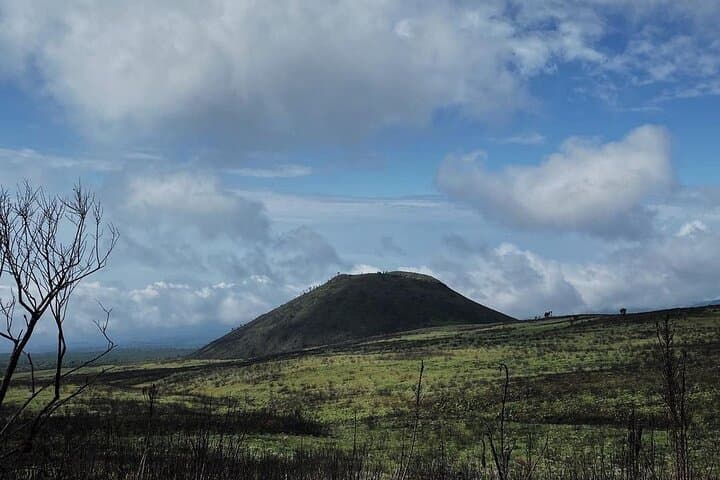 Private Kilimanjaro Rongai Route: 6-Day Summit Trek from Moshi photo 4