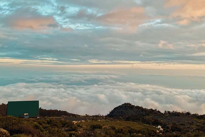 Private Kilimanjaro Rongai Route: 6-Day Summit Trek from Moshi photo 6