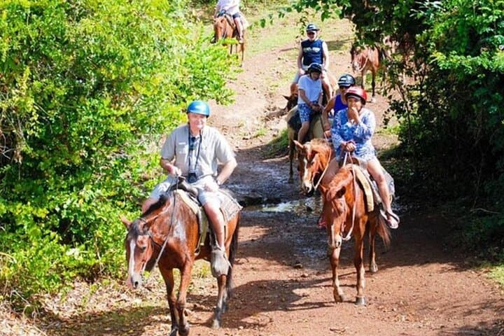 Experience the Heartbeat of the Dominican Republic: An Eco Safari Adventure photo 3