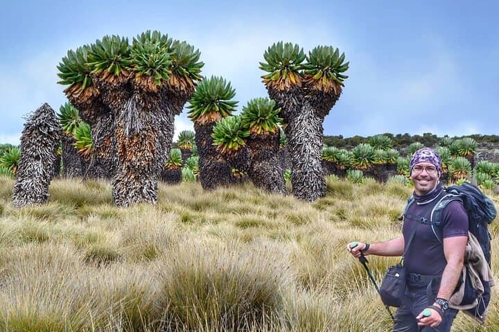 Kilimanjaro Lemosho Route: Private 8-Day Summit Trek to Uhuru Peak photo 3
