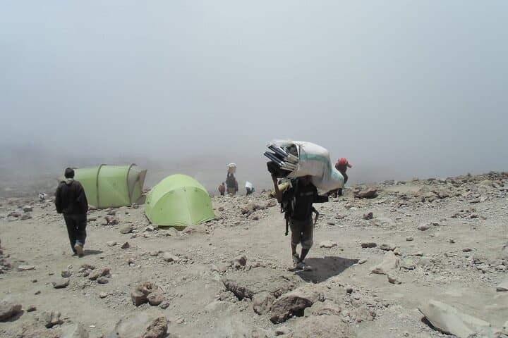 Kilimanjaro Lemosho Route: Private 8-Day Summit Trek to Uhuru Peak photo 5