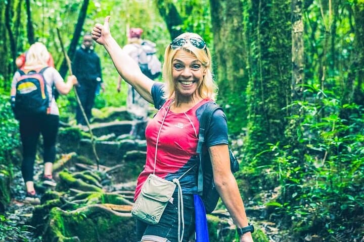 Shira Route Kilimanjaro Trek: Private 6-Day Ascent to Uhuru Peak photo 3