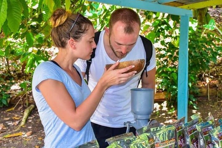 Experience the Heartbeat of the Dominican Republic: An Eco Safari Adventure photo 4