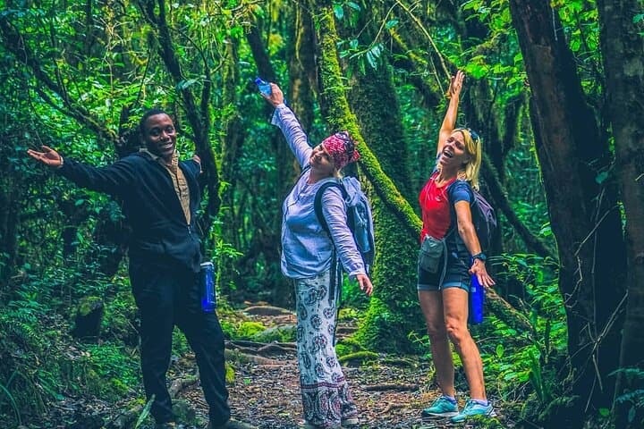 7-Day Machame Route: Kilimanjaro Ascent from Moshi photo 3
