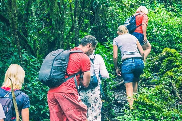 7-Day Machame Route: Kilimanjaro Ascent from Moshi photo 4