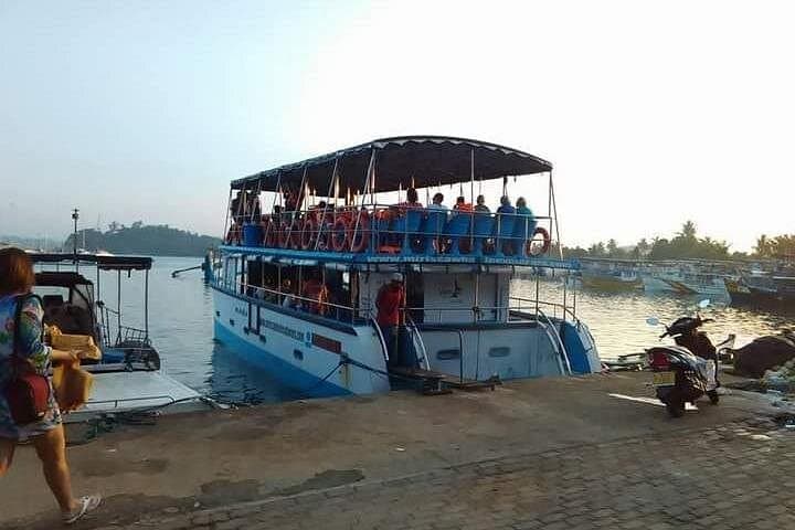 Mirissa Whale Watching: Blue Whales, Dolphins & Ocean Safaris off Sri Lanka photo 5