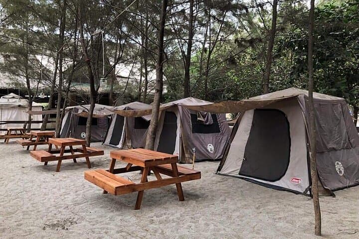4-Day Camping Safari: Arusha to Tarangire, Serengeti & Ngorongoro photo 4