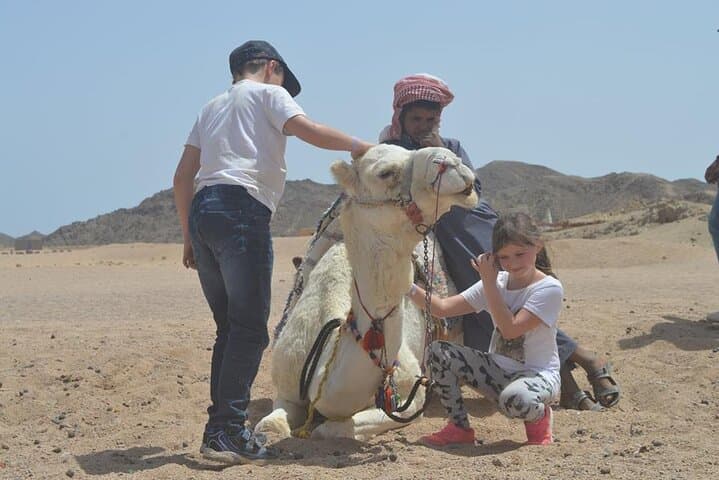 Sunset Camel Ride, Bedouin Dinner & Star Gazing Near Sharm el Sheikh photo 3
