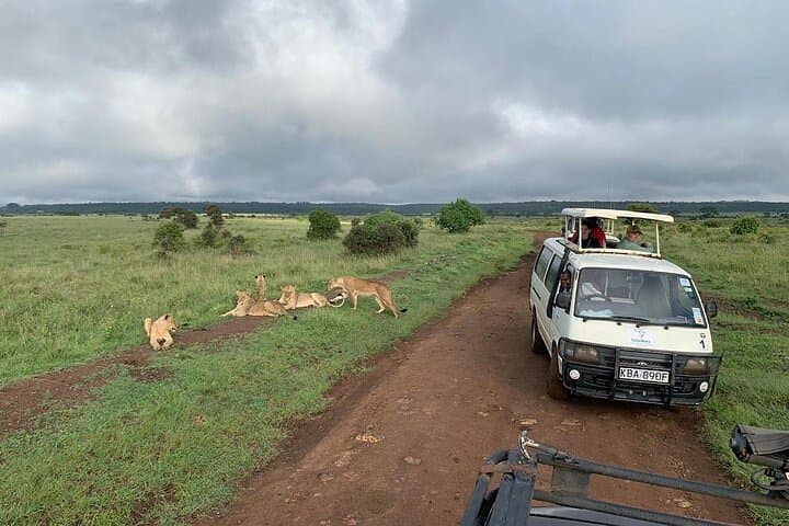 Nairobi National Park: Elephant Orphanage & Giraffe Centre Full-Day Tour