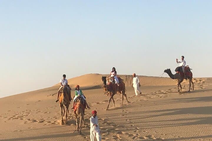 Sunset Feast and Camel Ride in Jaisalmer’s Thar Desert photo 5