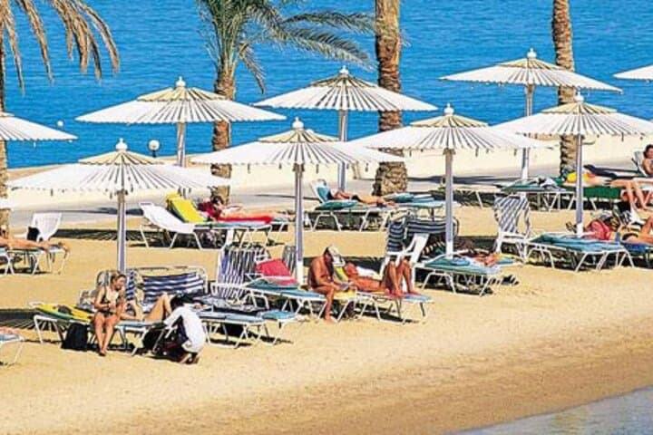 Private Day Tour to Alexandria from Cairo: Qaitbay, Catacombs & Bibliotheca photo 2