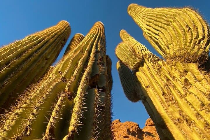 Conquer Camelback: Echo Canyon Guided Summit Hike in Phoenix photo 3