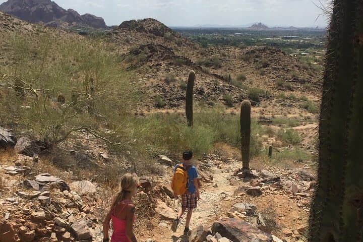 Explore the Sonoran Desert: 2-Hour Guided Hiking Adventure in Phoenix photo 3