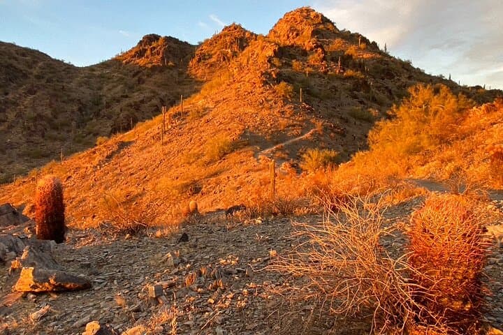 Explore the Sonoran Desert: 2-Hour Guided Hiking Adventure in Phoenix photo 4