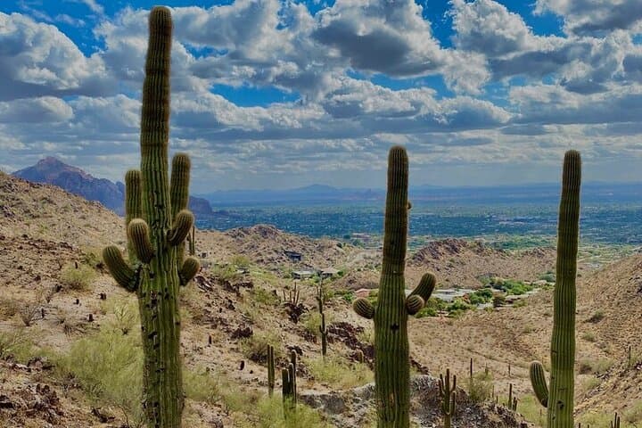 Explore the Sonoran Desert: 2-Hour Guided Hiking Adventure in Phoenix photo 6