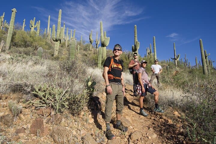 Explore the Sonoran Desert: 2-Hour Guided Hiking Adventure in Phoenix