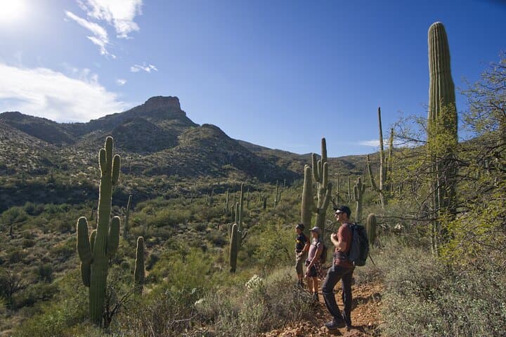 Explore the Sonoran Desert: Guided Hike Up Camelback Mountain in Phoenix photo 2