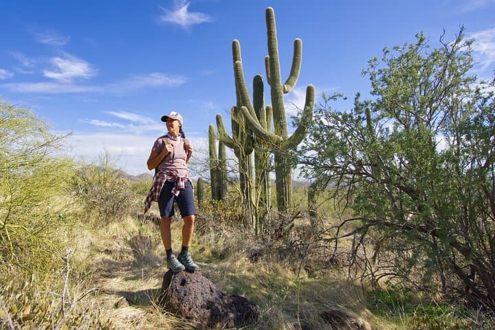 Explore the Sonoran Desert: Guided Hike Up Camelback Mountain in Phoenix photo 6