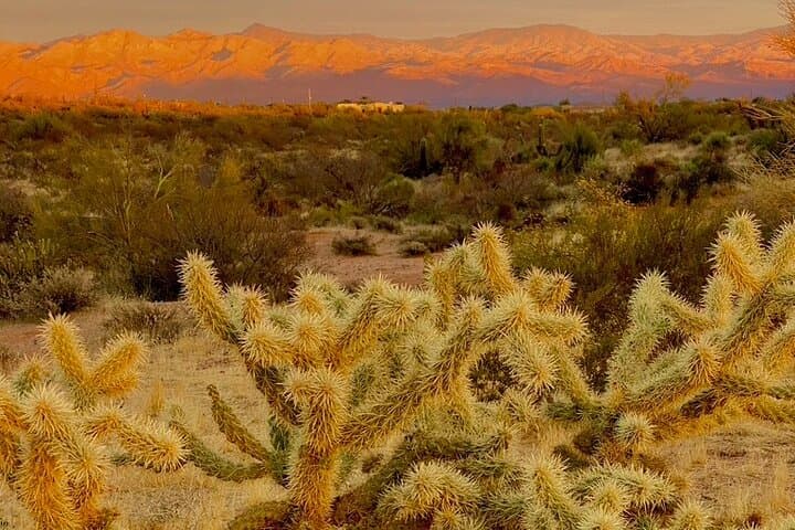 Sonoran Desert Sunrise & Sunset Guided Hike — Phoenix Views from the Phoenix Mountains Preserve photo 2