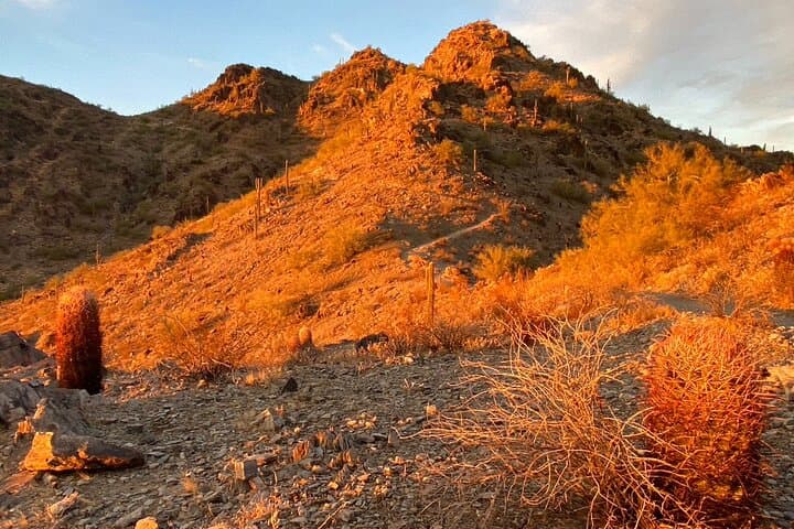 Sonoran Desert Sunrise & Sunset Guided Hike — Phoenix Views from the Phoenix Mountains Preserve photo 3