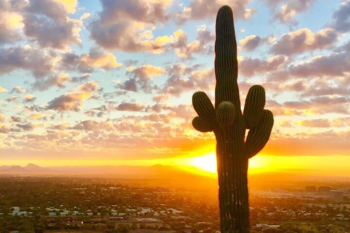 Sonoran Desert Sunrise & Sunset Guided Hike — Phoenix Views from the Phoenix Mountains Preserve