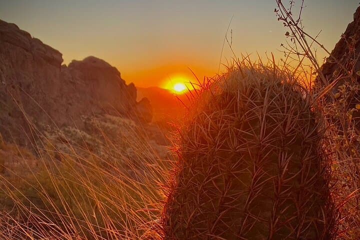 Sonoran Desert Sunrise & Sunset Guided Hike — Phoenix Views from the Phoenix Mountains Preserve photo 4
