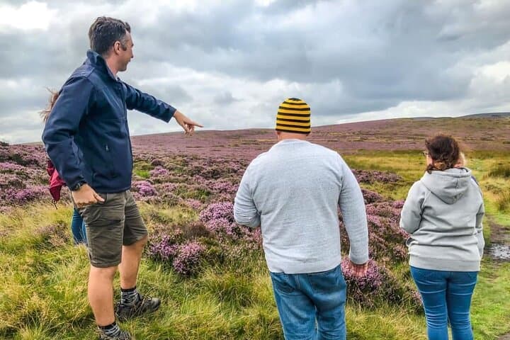 All Creatures Great and Small Yorkshire Dales Private Tour from Harrogate photo 4