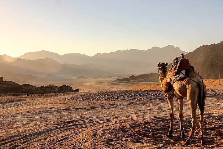 Hurghada Desert Safari: Quad, Jeep & Camel Ride with Bedouin Dinner photo 6