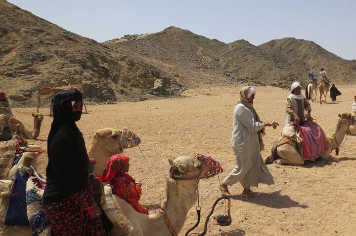 Hurghada Desert Safari: Quad, Jeep & Camel Ride with Bedouin Dinner photo 3