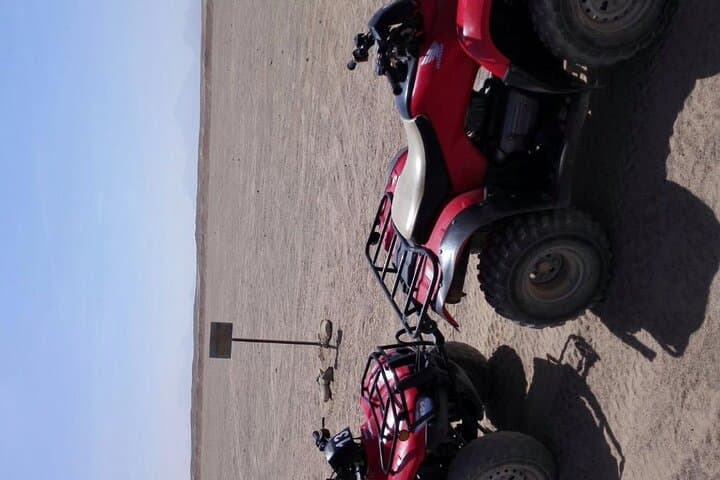 Hurghada Desert Quad Safari: 3-Hour ATV Ride, Bedouin Tea & Camel Experience photo 6