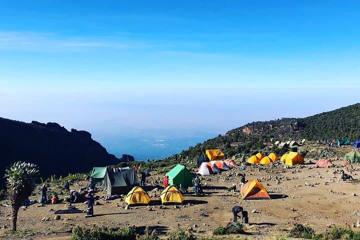 7-Day Machame Route Kilimanjaro: A Guided Ascent to Uhuru Peak