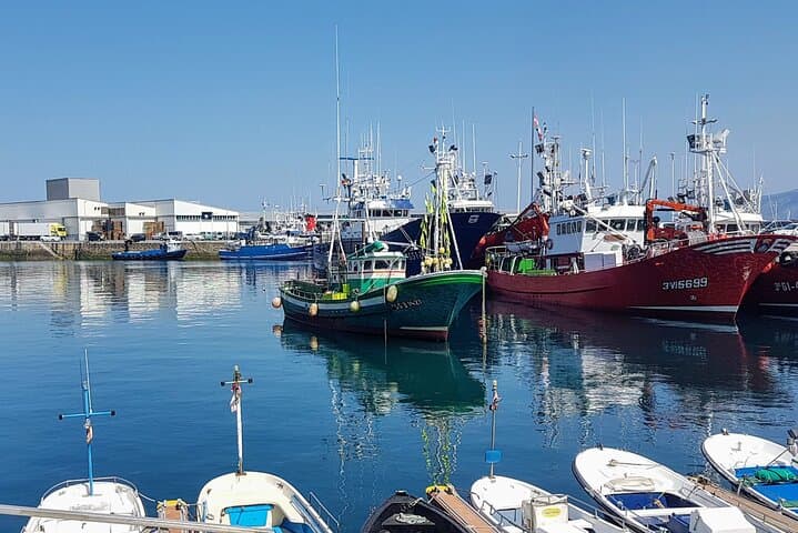 Ultimate Basque Coast Adventure: Getaria, Zumaia Flysch & Txakoli Wine Route photo 3