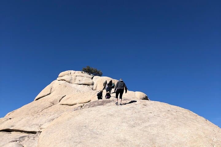 Joshua Tree National Park Driving Tour: Scenic Van Trip from Palm Springs photo 4