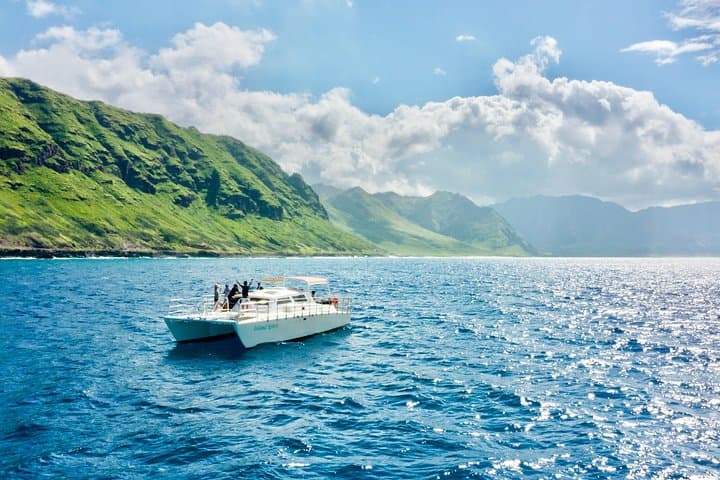 West Oahu Dolphin Catamaran Cruise — Swim with Wild Dolphins from Waianae Harbor photo 2