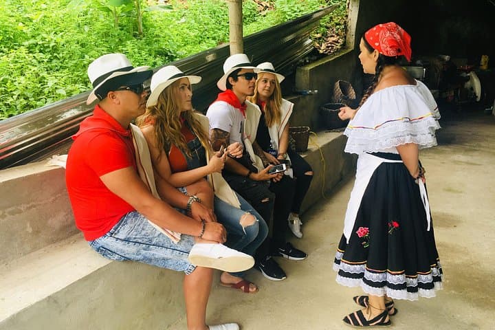 Antioquia Coffee Farm Tour from Medellín — Plantation Walk & Tasting photo 4