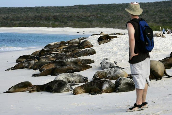 Galapagos Intensive 5-Day Land Tour: Santa Cruz, Isabela & Bartolomé Highlights photo 4