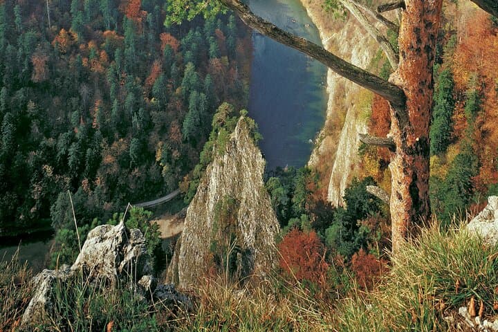 Dunajec River Gorge Rafting from Krakow: Scenic Punting Through Limestone Cliffs photo 6