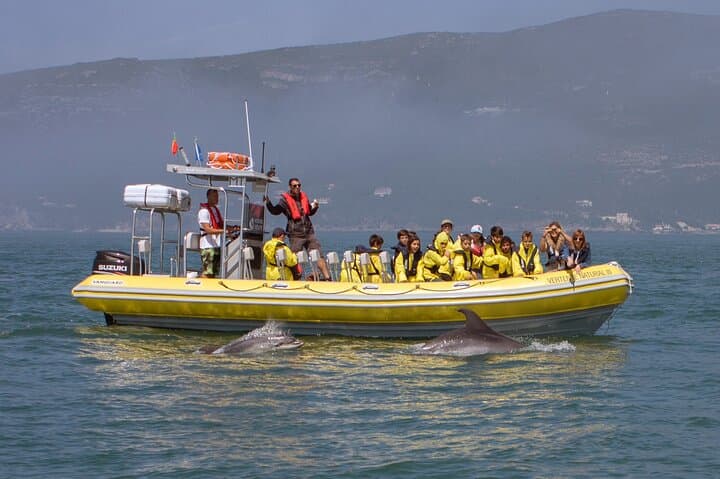 Dolphin Watching in Arrábida Marine Park — Boat Tours from Sesimbra photo 2