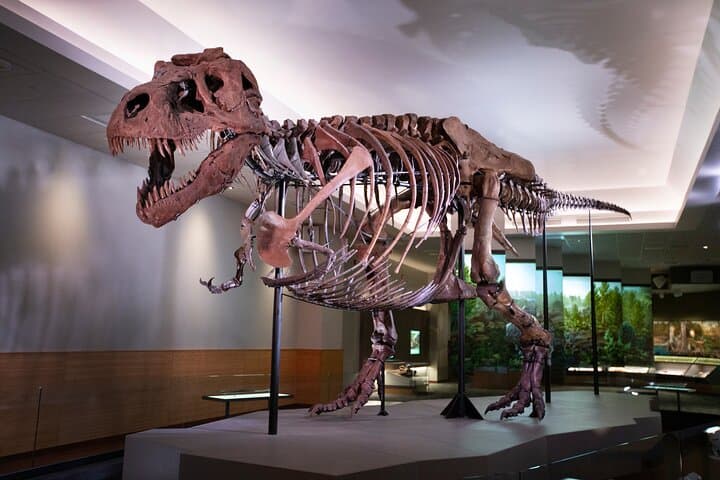 Early Access VIP at Chicago's Field Museum — See SUE & Máximo Before the Crowds