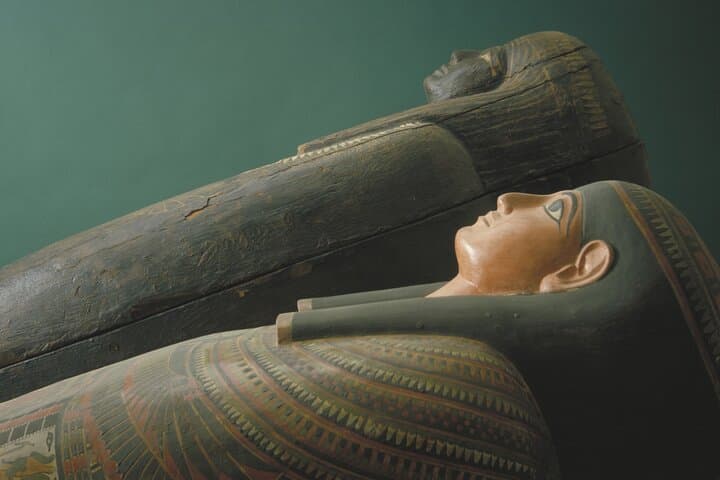 Early Access VIP at Chicago's Field Museum — See SUE & Máximo Before the Crowds photo 2