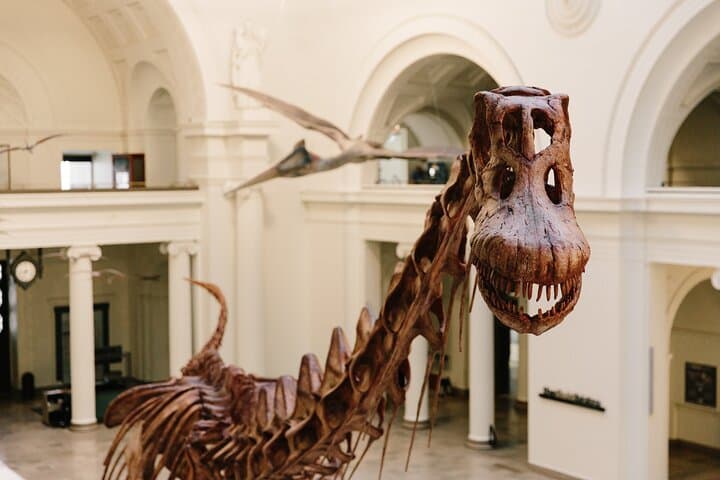 Early Access VIP at Chicago's Field Museum — See SUE & Máximo Before the Crowds photo 3