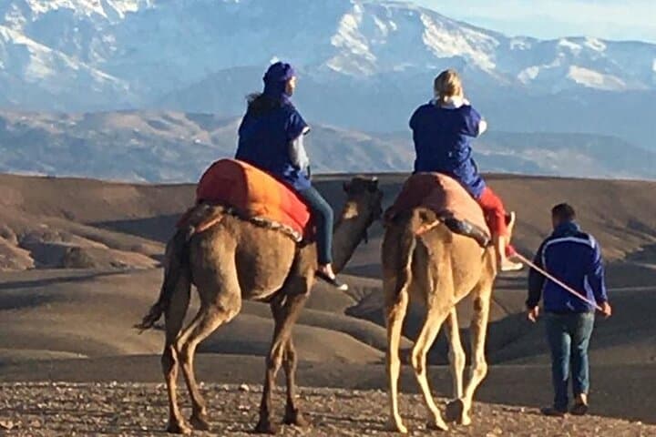 Sunset Camel Ride in Agafay Desert: Marrakech Evening Tour with Mint Tea