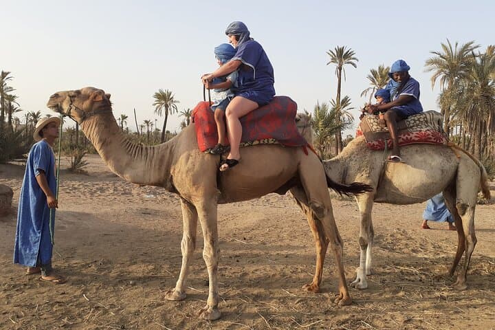 Sunset Camel Ride in the Marrakech Palmeraie — 1-Hour Camel Trek with Transfers photo 5