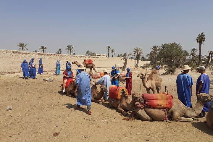 Sunset Camel Ride in the Marrakech Palmeraie — 1-Hour Camel Trek with Transfers photo 6