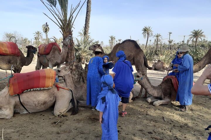 Palm Grove Camel Ride in Marrakech: Half-Day Tuareg Experience photo 4
