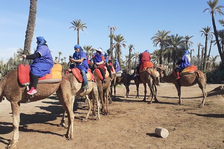 Palm Grove Camel Ride in Marrakech: Half-Day Tuareg Experience photo 5
