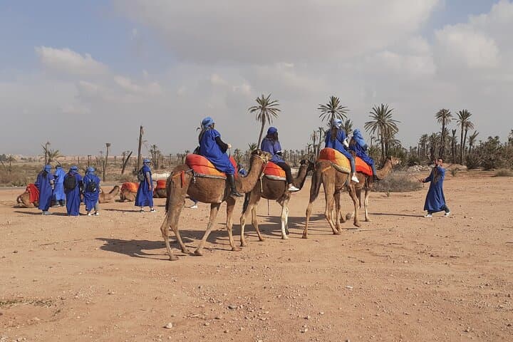 Palm Grove Camel Ride in Marrakech: Half-Day Tuareg Experience photo 6