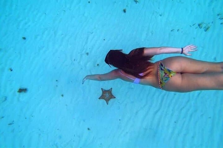 Cozumel Snorkel Tour: Palancar, Columbia and El Cielo Reefs with Starfish Sandbar photo 6