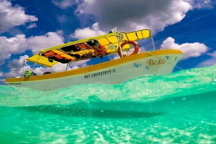 Cozumel Snorkel Tour: Palancar, Columbia and El Cielo Reefs with Starfish Sandbar photo 5
