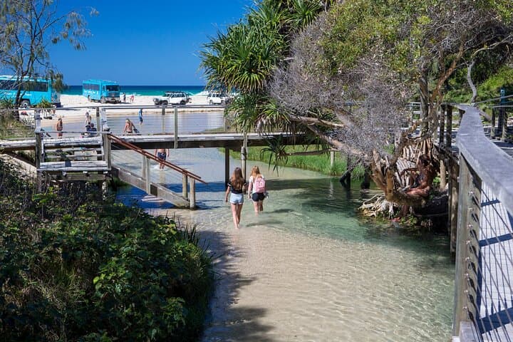 K'gari (Fraser Island) All-Inclusive Day Tour — Lake McKenzie, 75 Mile Beach & Maheno